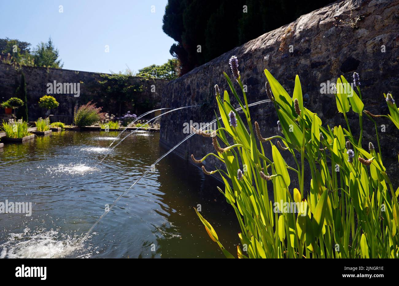 The Italian Garden at St Fagans National Museum of History. Summer 2022. August. Water feature with plants and waterspouts Stock Photo