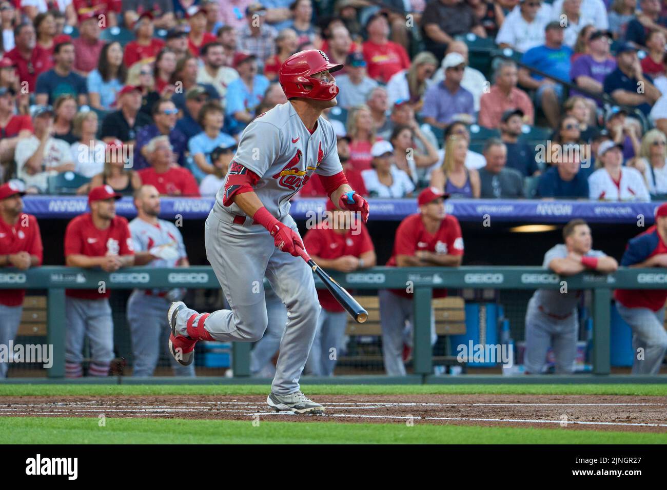 St. Louis Cardinals Vs. Colorado Rockies   A Game Thread For August 11, 2025: A Game To Remember: Don’T Miss This One! - qwddj0y