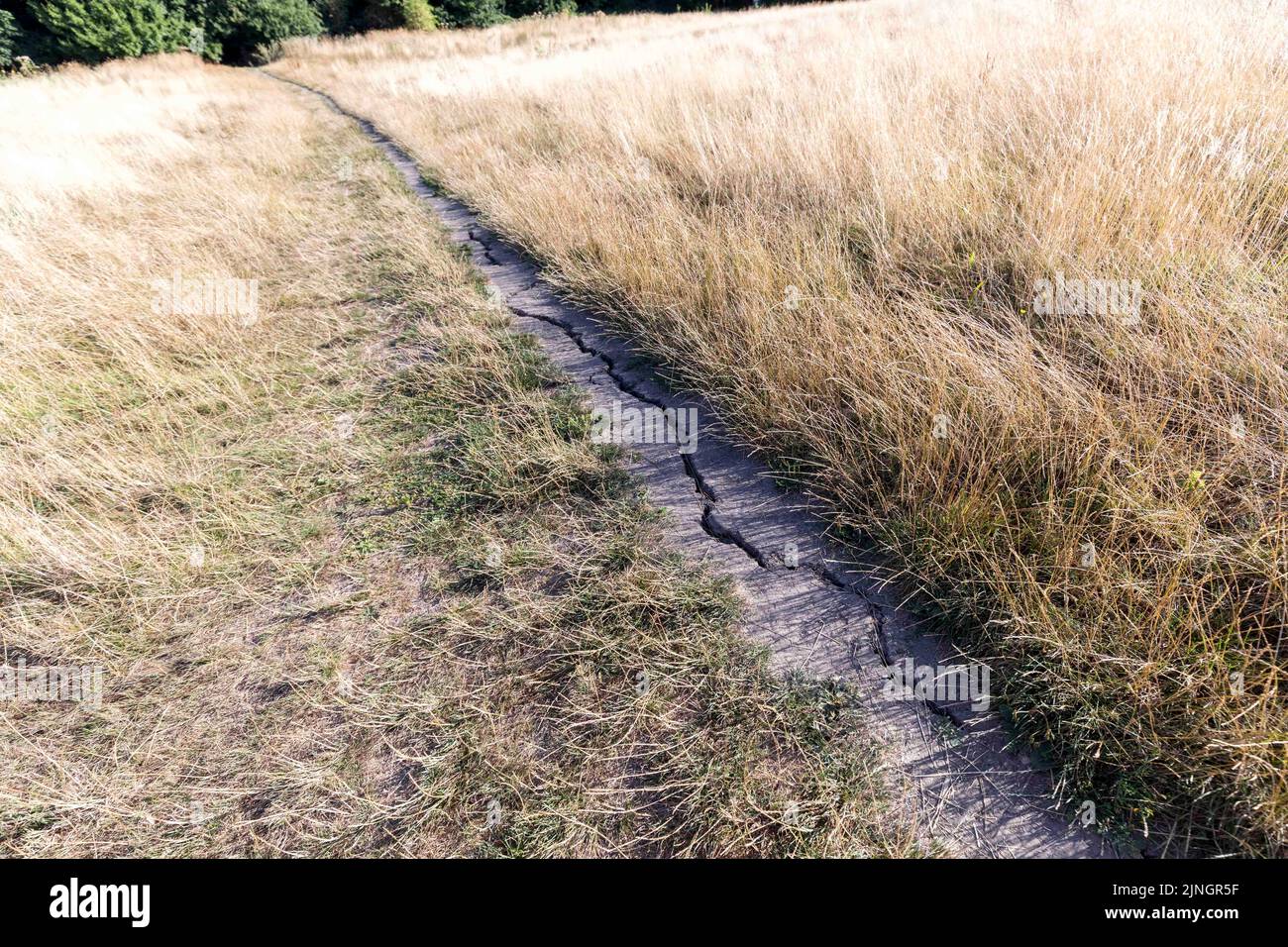 Grass is seen to have dried out on Parliament Hill this morning as London experiences high temperatures and dry weather in the coming week.   Image sh Stock Photo
