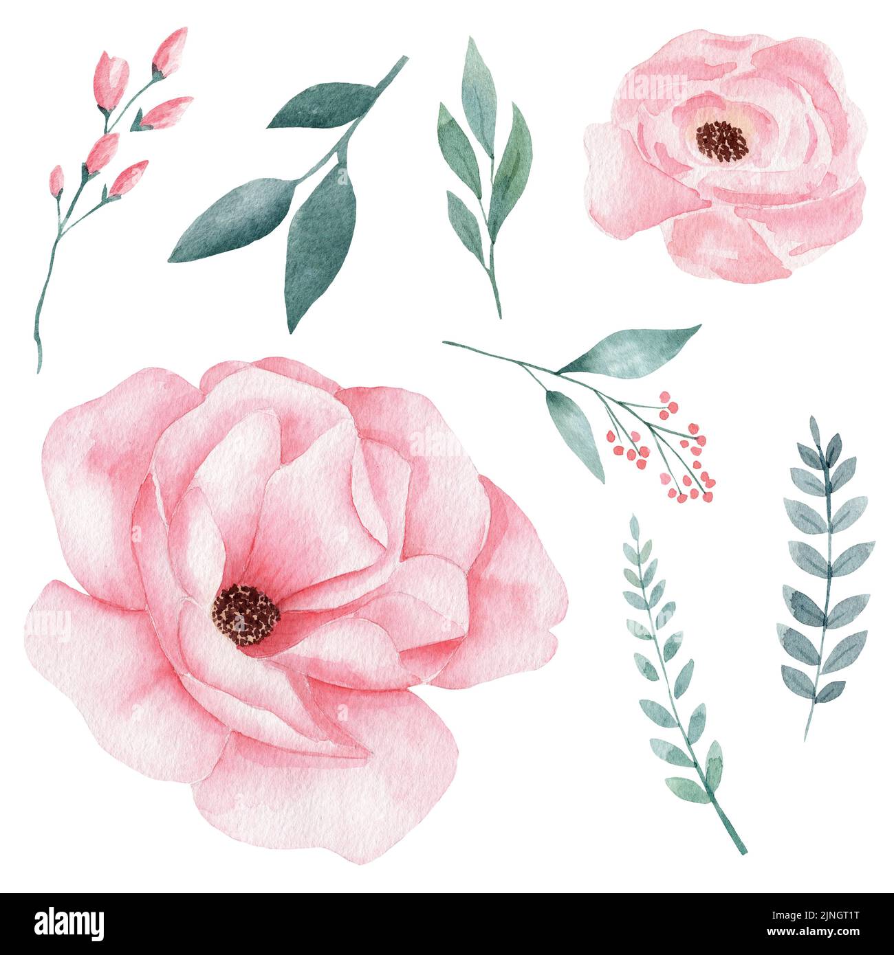 Set of hand painted pink watercolor flowers and greenery leaves Stock ...