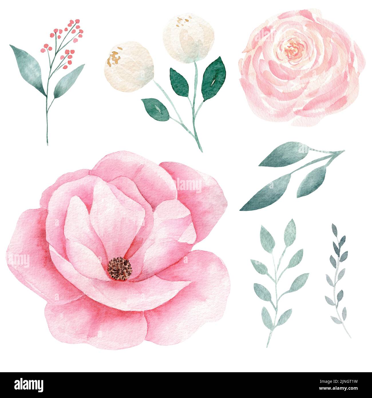 Set of hand painted pink watercolor flowers and greenery leaves Stock ...