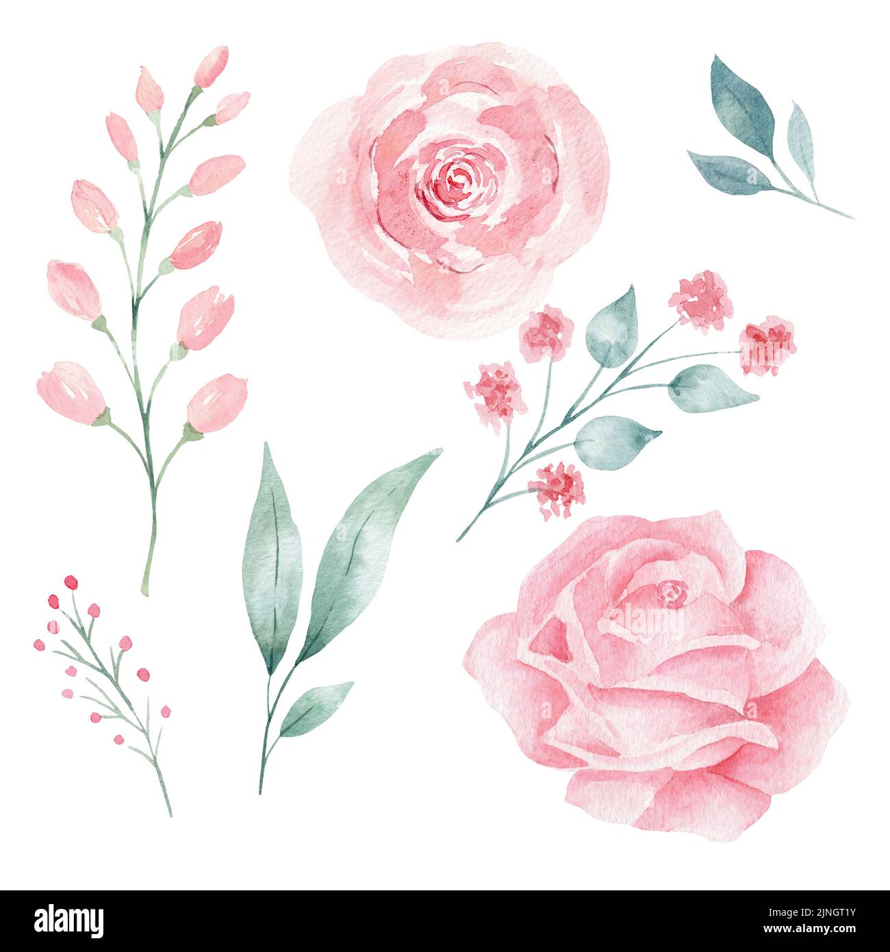 Set of hand painted pink watercolor flowers and greenery leaves Stock ...