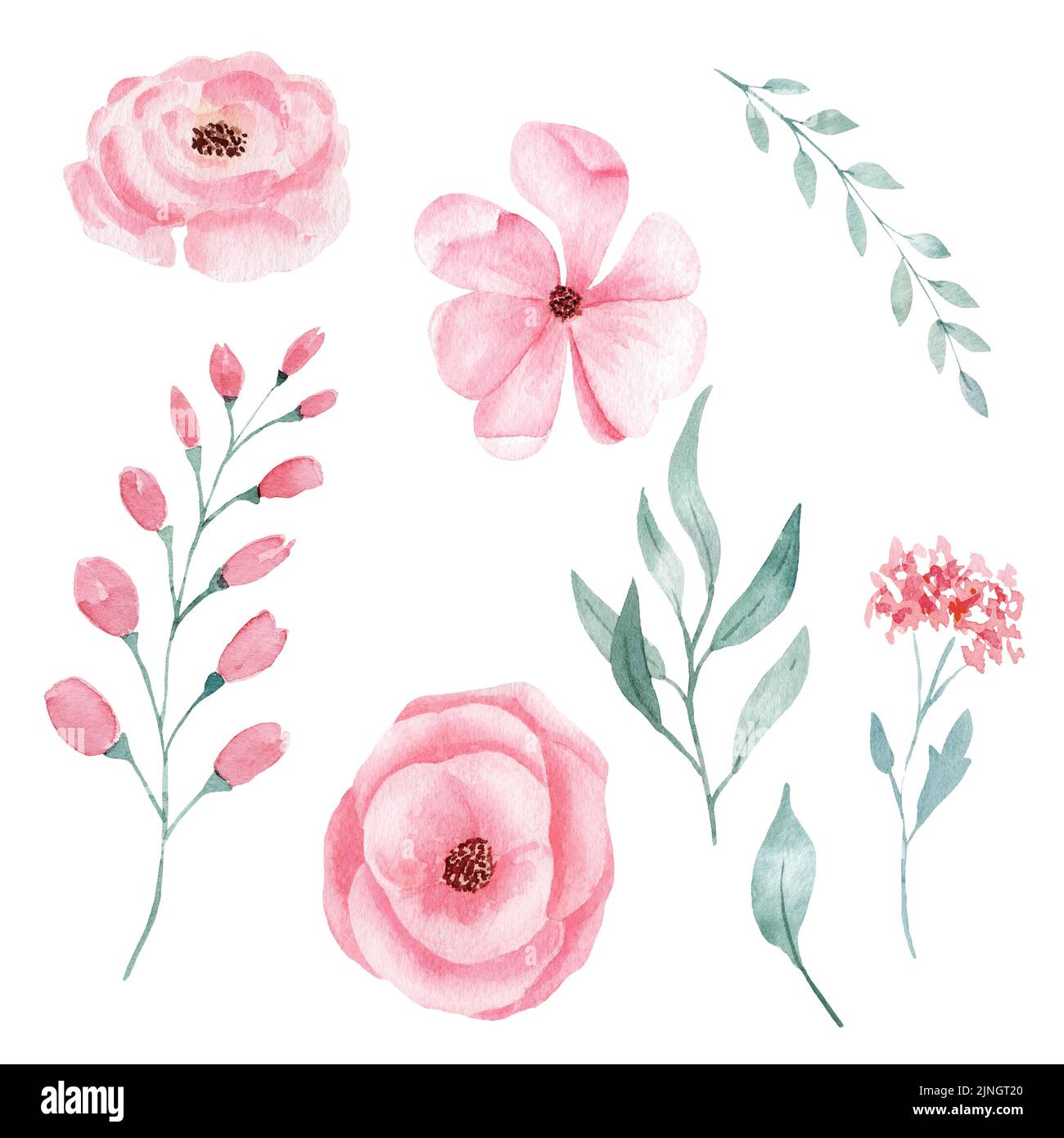 Set of hand painted pink watercolor flowers and greenery leaves Stock ...