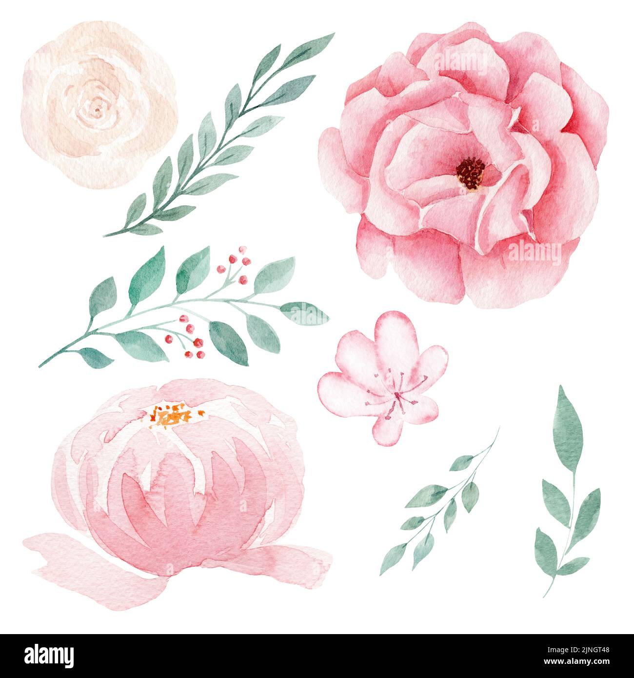 Set of hand painted pink watercolor flowers and greenery leaves Stock ...