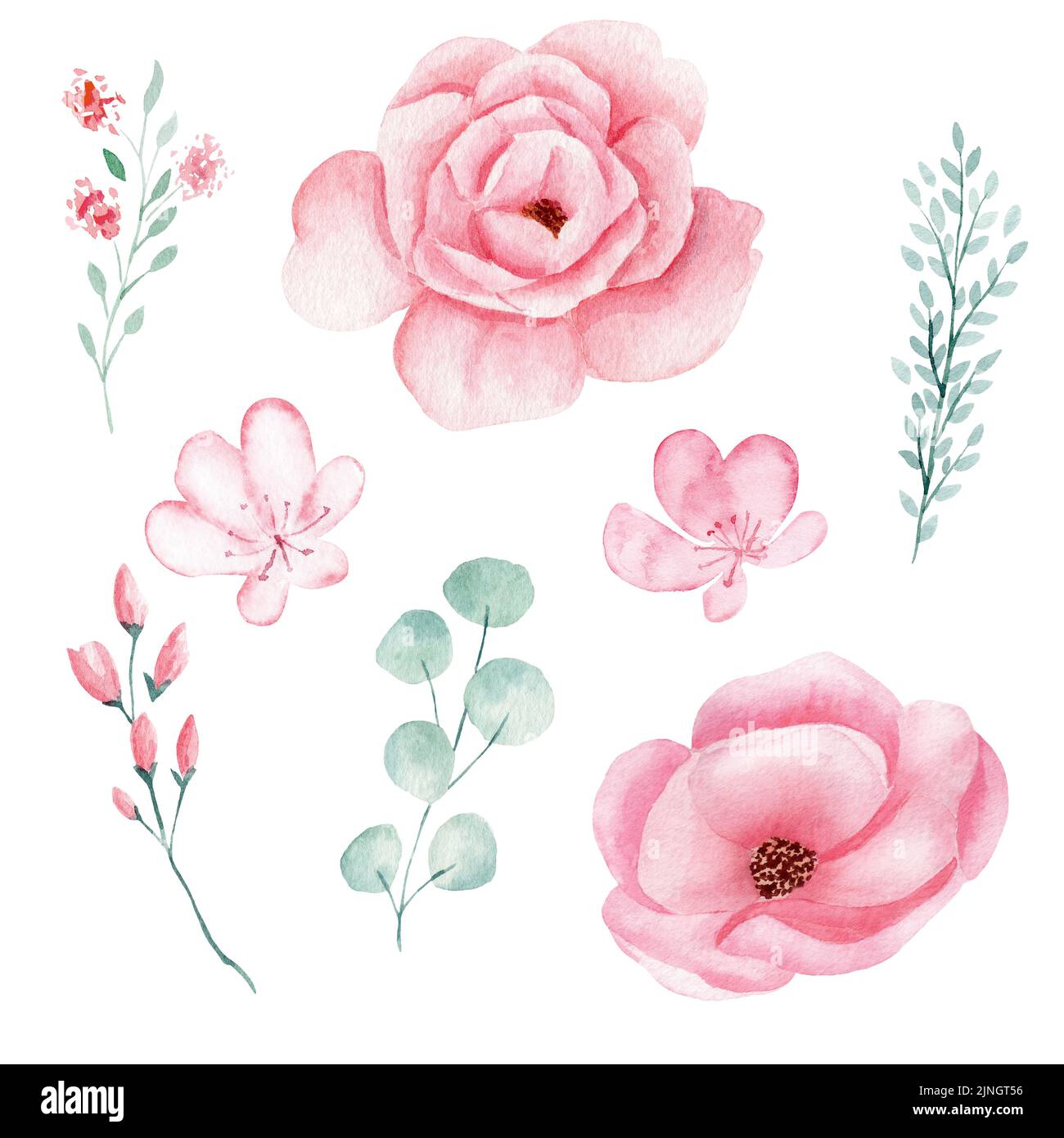Set of hand painted pink watercolor flowers and greenery leaves Stock ...