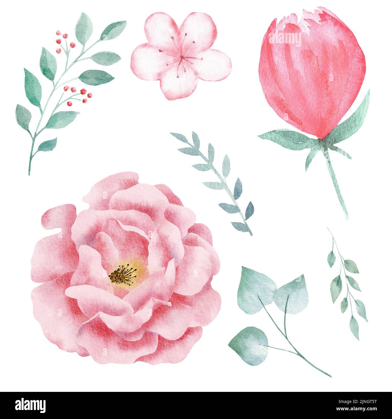 Set of hand painted pink watercolor flowers and greenery leaves Stock ...