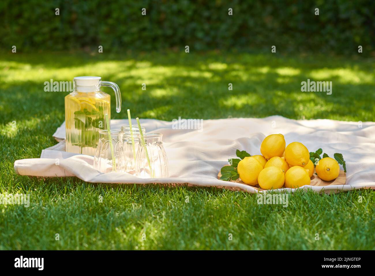 Lemonade Outside summer picnic on green grass with glass jug of cool lemonade, three ...