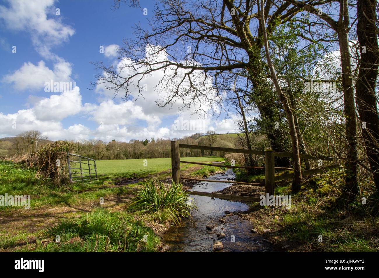 small river in Devon in winter with bare trees and green fields with white clouds and bright blue sky Stock Photo