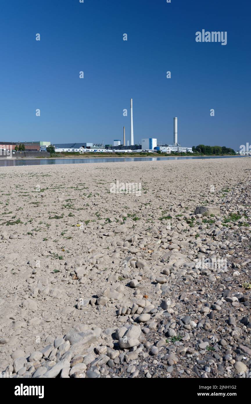 Cologne, Germany August 11, 2022: The Ford Motor Company in cologne at low water levels on the rhine Stock Photo