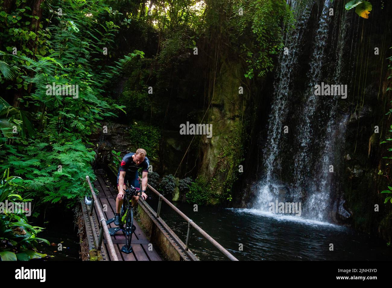 Athlete Olaf Van Den Bergh seen training on his bike in front of a waterfall. Dutch top athlete Olaf Van Den Bergh starts training in the indoor tropical rainforest of the Burgers' Zoo in Arnhem, in preparation for the Ironman World Championships in Kailua-Kona located in Hawaii. The Bush (indoor tropical rainforest) is the ideal training location because of the high humidity and temperature. (Photo by Ana Fernandez / SOPA Images/Sipa USA) Stock Photo