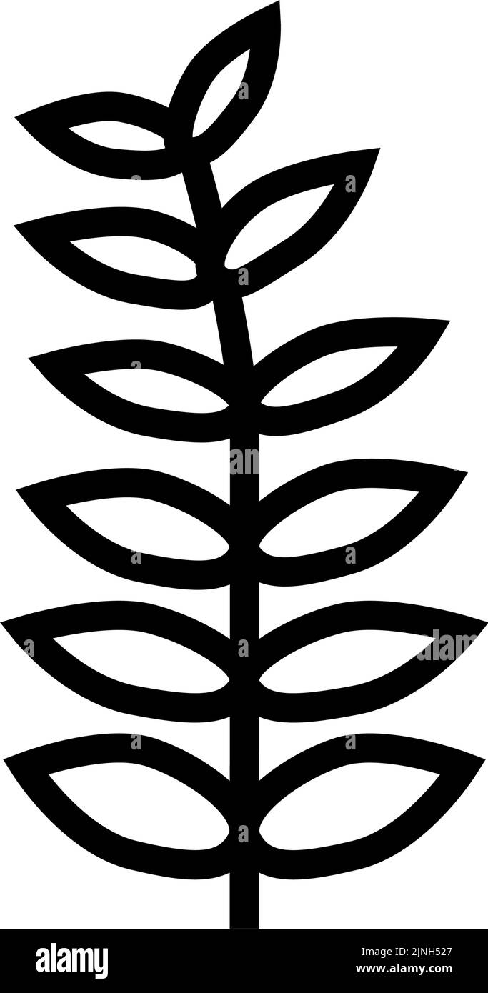 walnut leaf line icon vector illustration Stock Vector Image & Art - Alamy