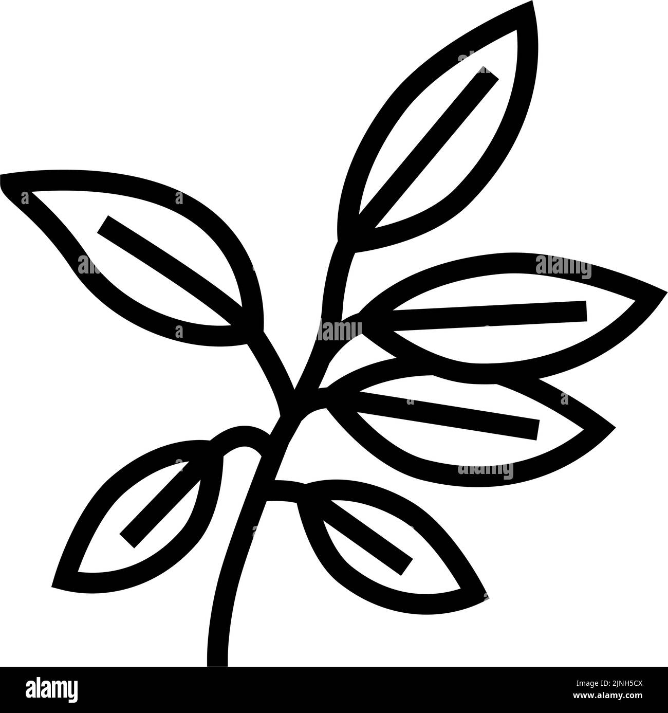 ebony leaf line icon vector illustration Stock Vector