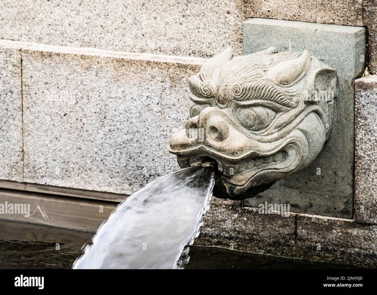 A dragon headed water spout at Chi Lin Nunnery, Hong Kong Stock Photo