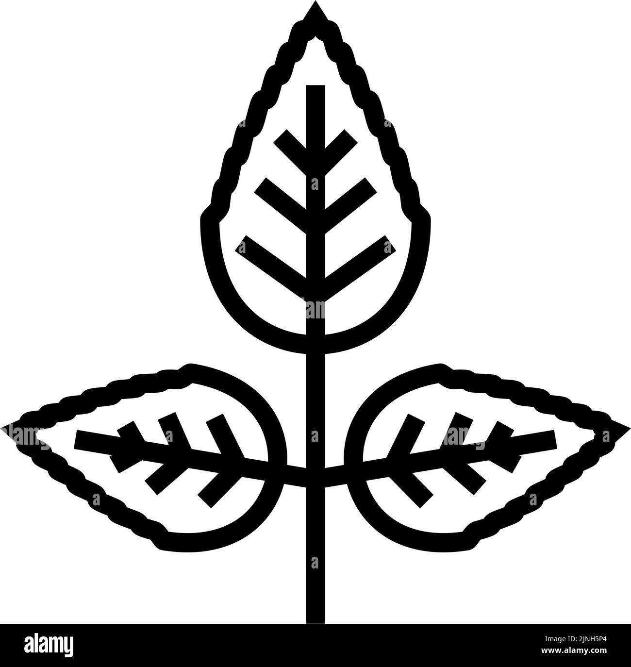 rose flower leaf line icon vector illustration Stock Vector Image & Art ...