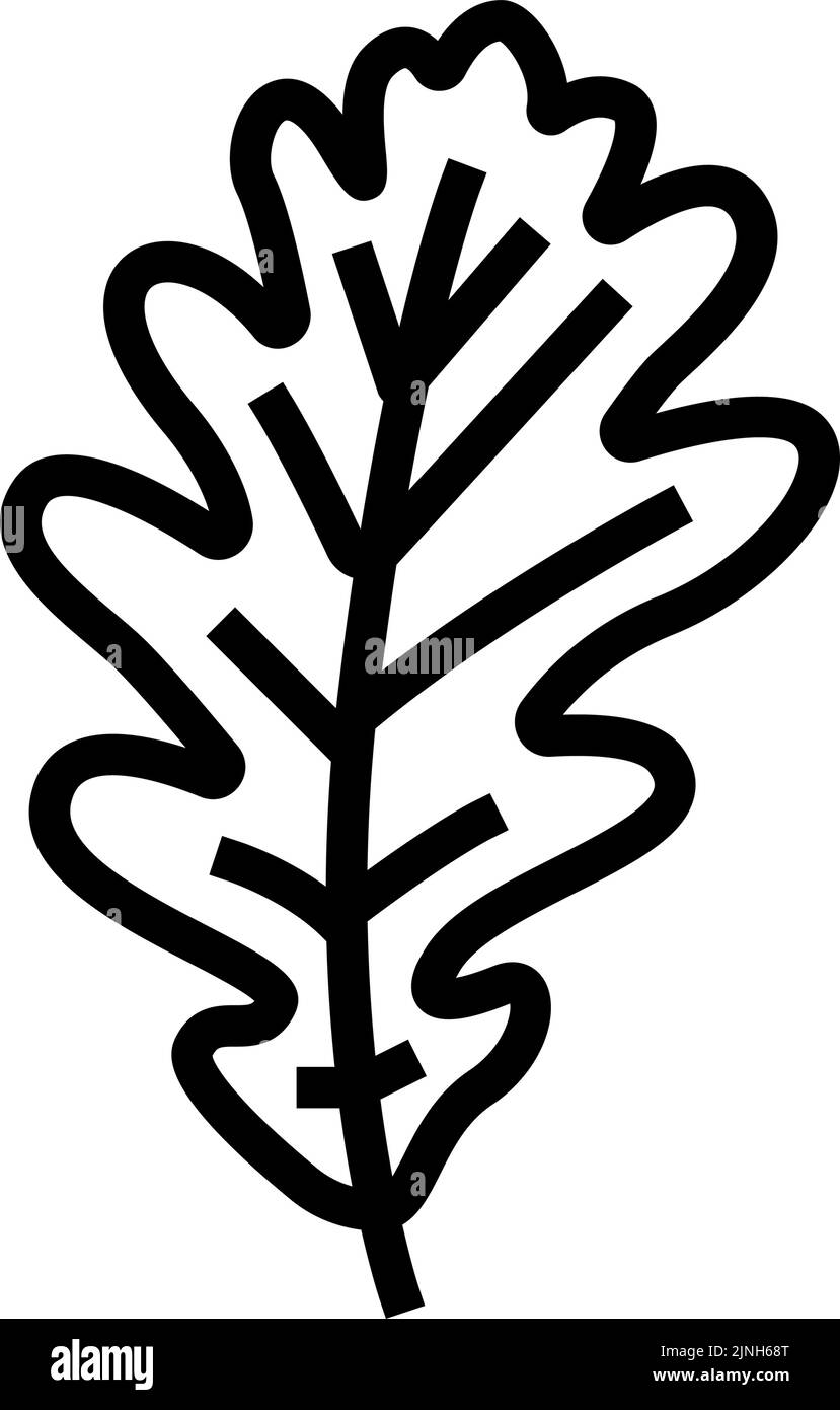 oak tree leaf line icon vector illustration Stock Vector