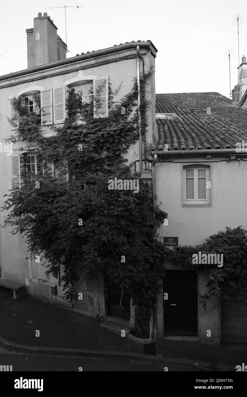 Arbuste blanc Black and White Stock Photos & Images Alamy