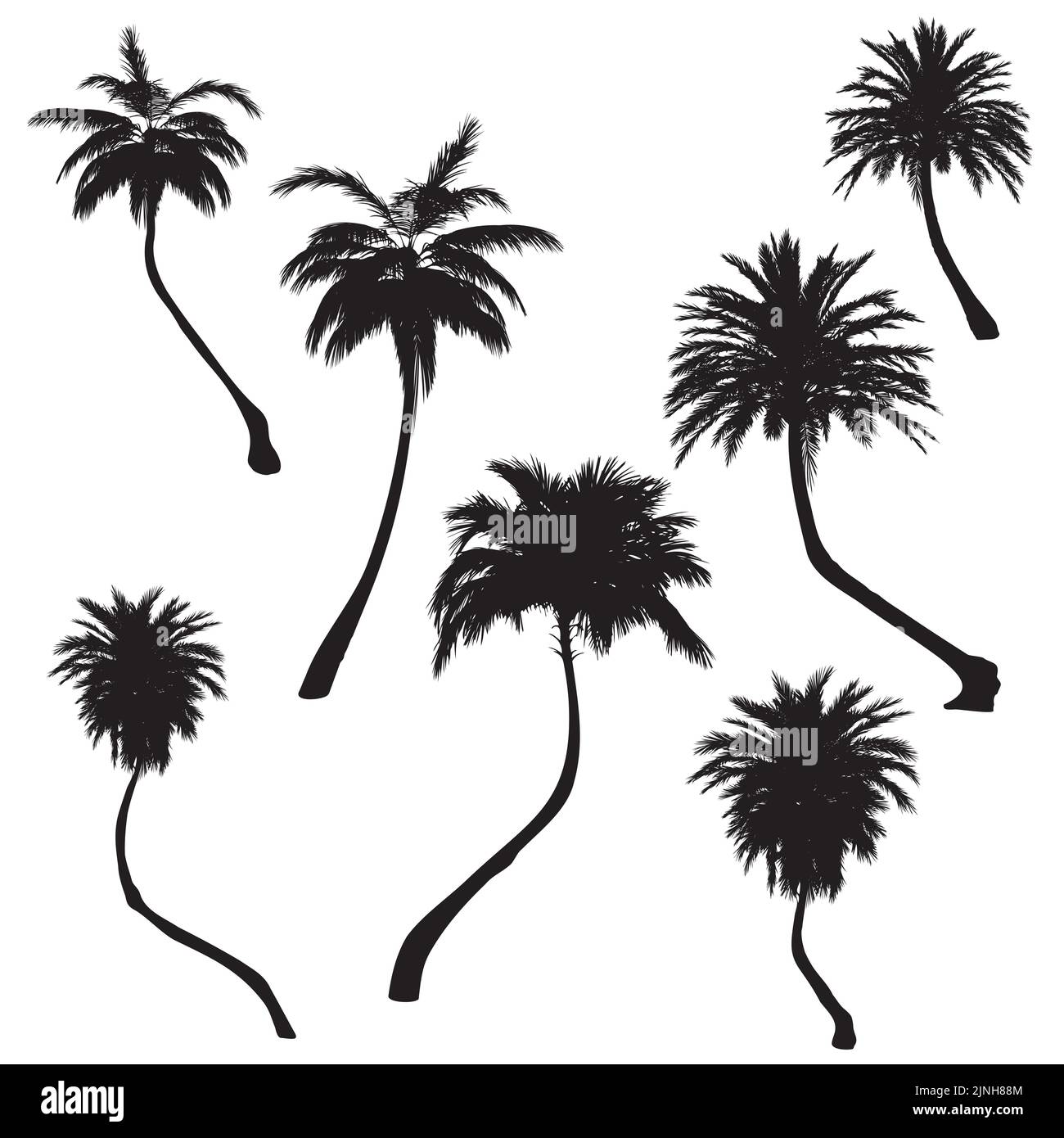 Detailed tall palm trees black silhouettes illustration Stock Vector ...