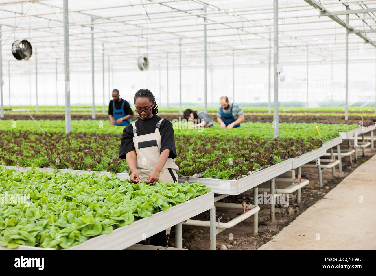 Agriculture engineer 2024