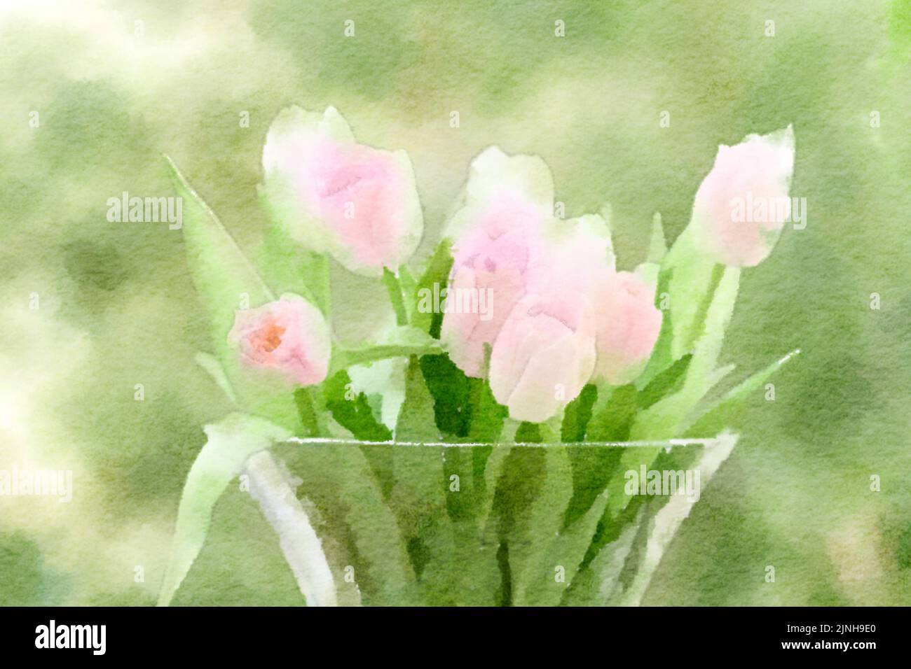 Flower watercolor painting close up of flower bouquet pink tulips in ...