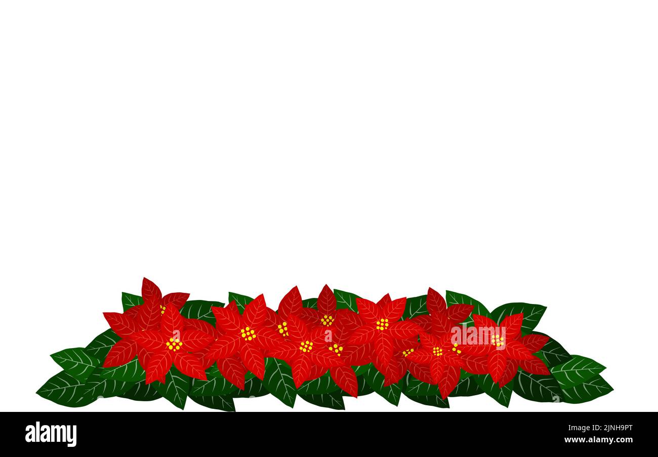 Illustration of poinsettias lined up in a row Stock Vector