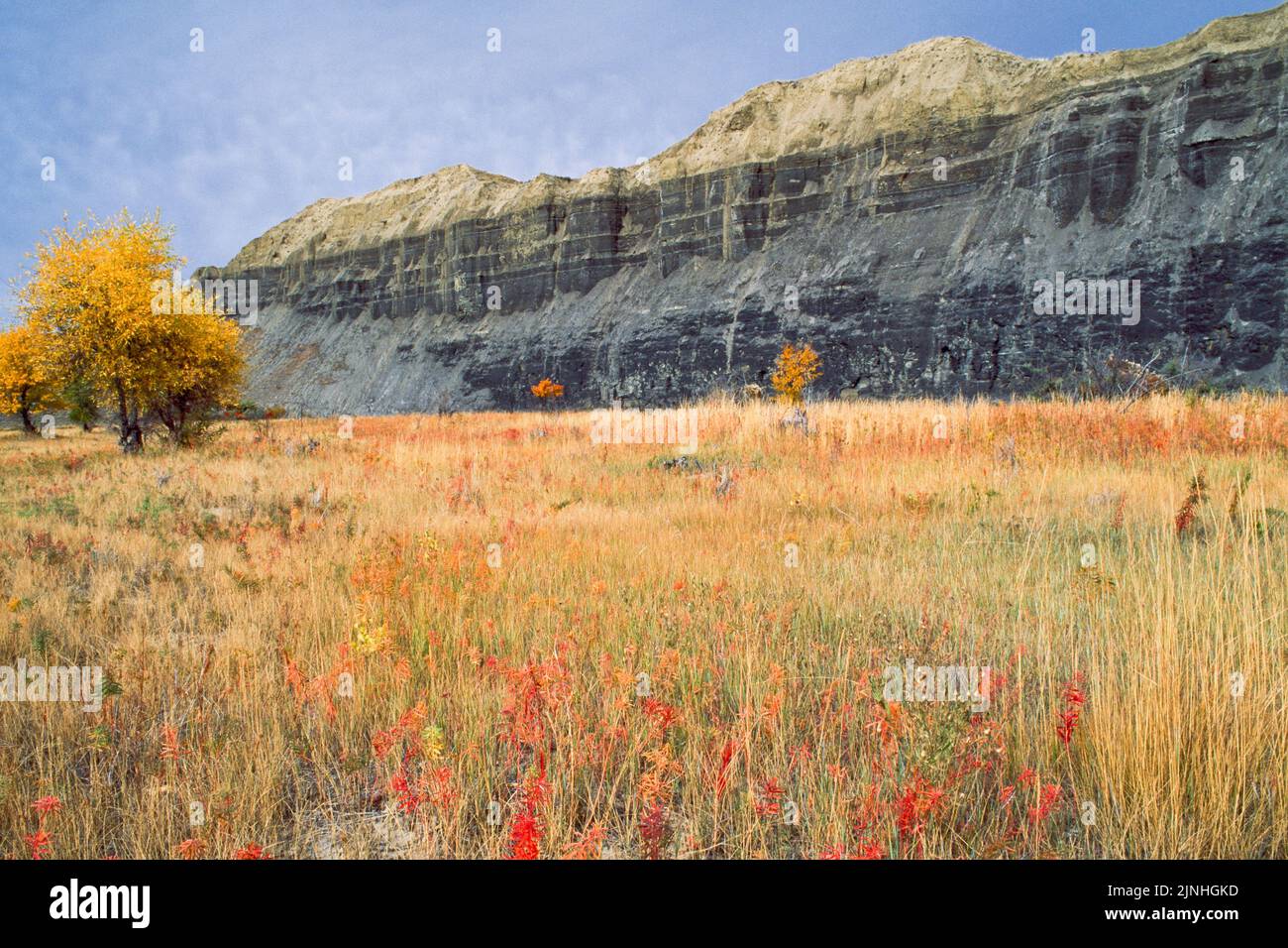fields and bluffs in the marias river valley in autumn near shelby, montana Stock Photo