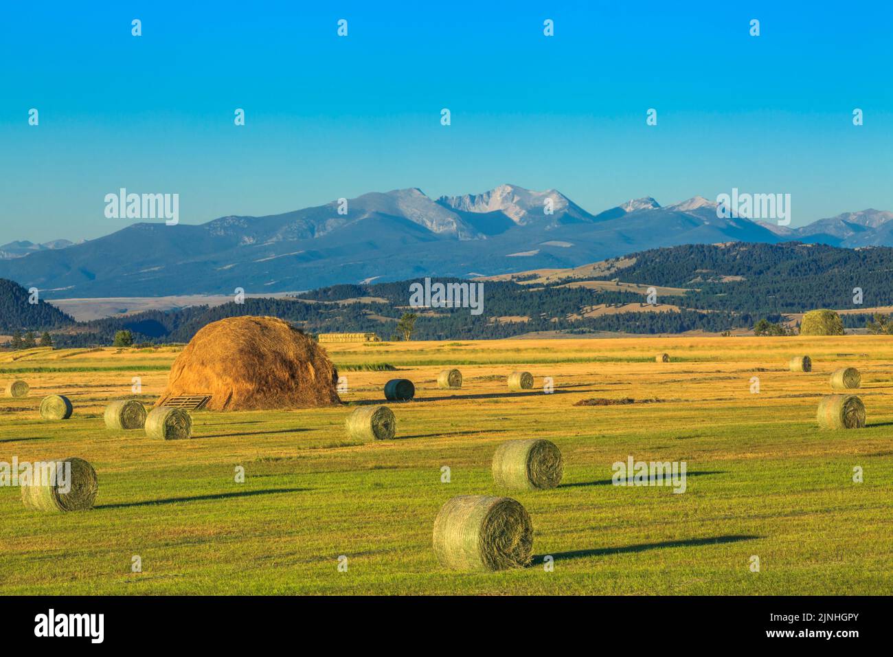 round hay bales below the flint creek range near avon, montana Stock Photo