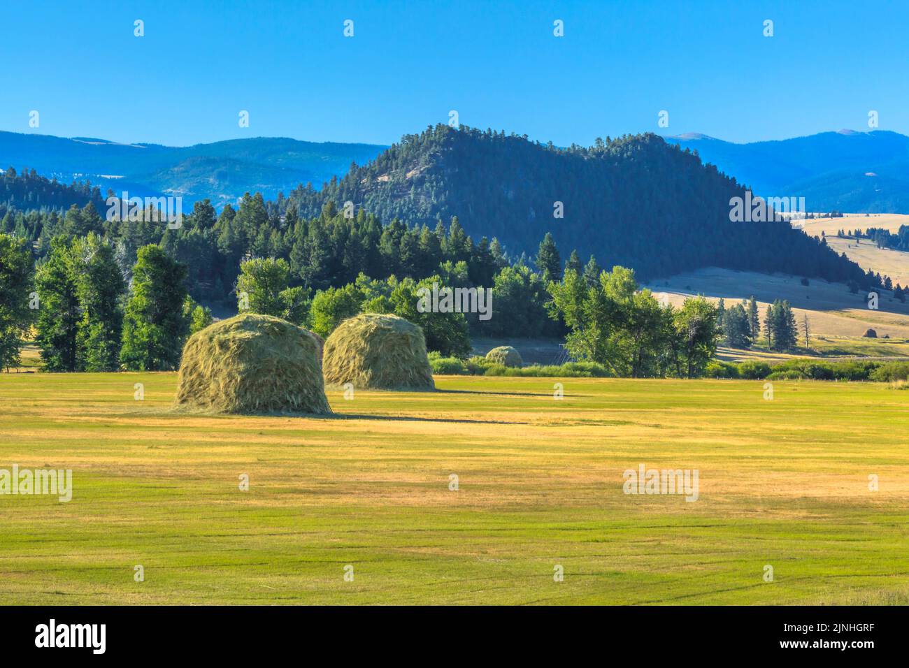 haystacks in the avon valley near avon, montana Stock Photo