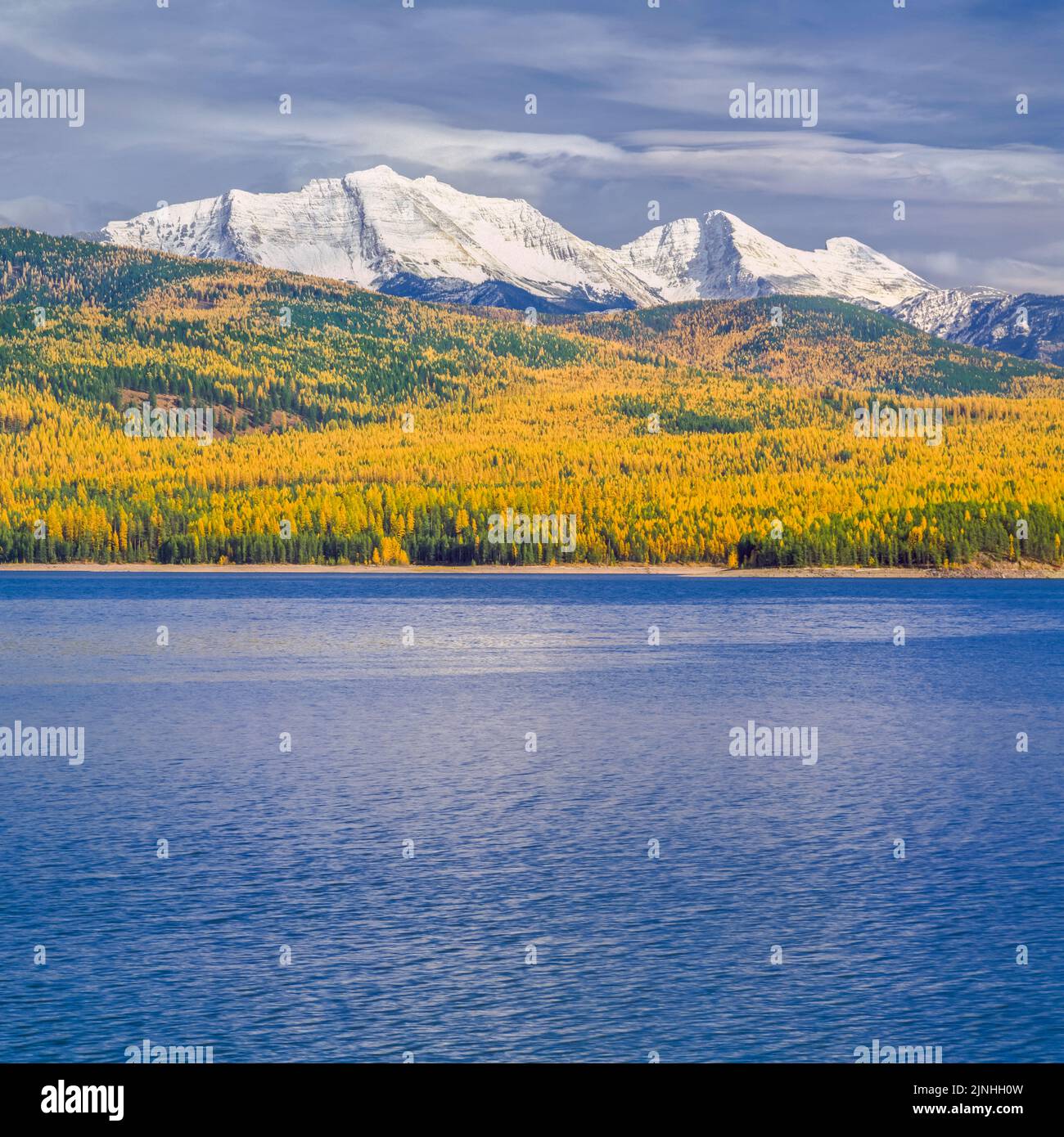 great northern mountain and mount grant in the flathead range above hungry horse reservoir and autumn larch near hungry horse, montana Stock Photo