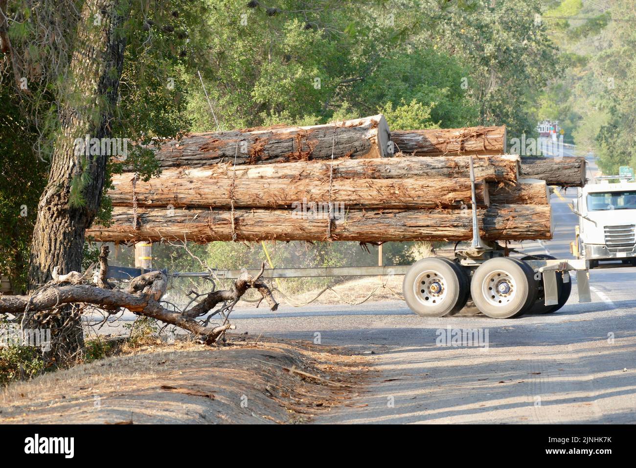 logging truck loaded with redwood logs on rural country road Stock Photo