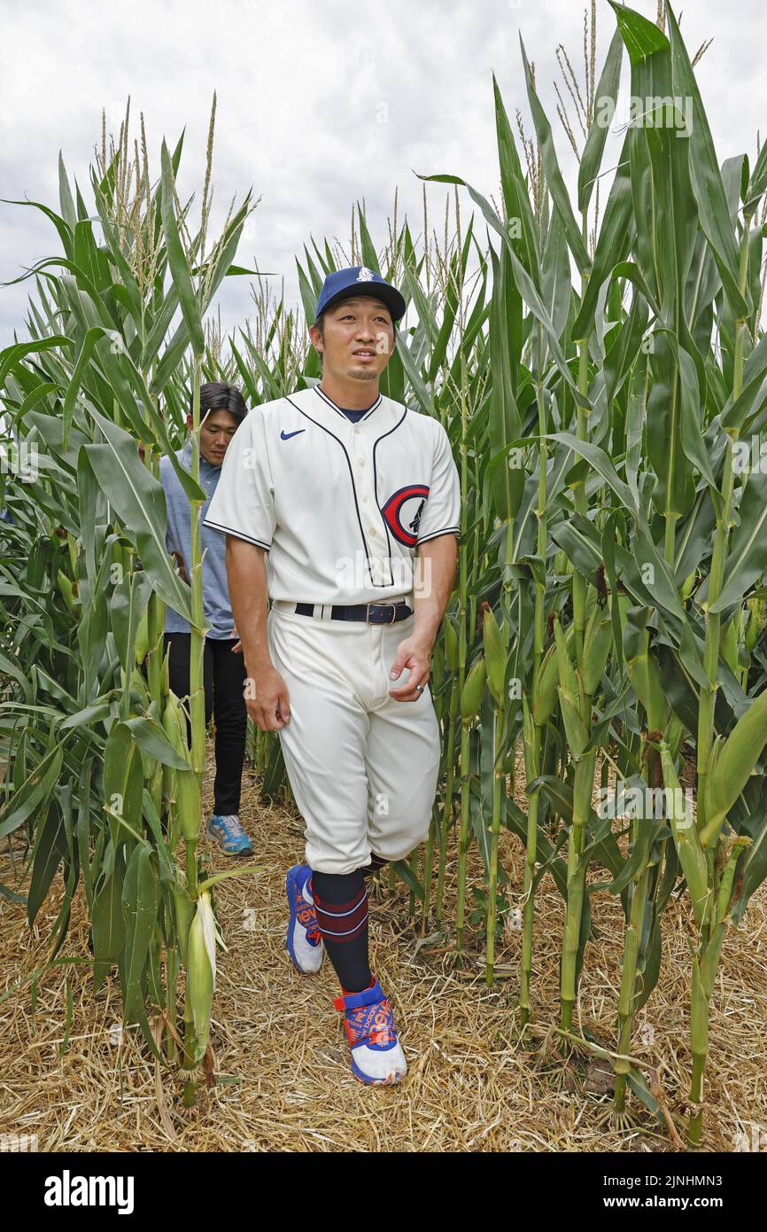 Seiya Suzuki of the Chicago Cubs walks in a cornfield in Dyersville, Iowa, prior to an MLB game against the Cincinnati Reds at the Field of Dreams stadium on Aug. 11, 2022. The 1989 movie Field of Dreams was filmed at a farm in the Iowa city. (Kyodo)==Kyodo Photo via Credit: Newscom/Alamy Live News Stock Photo