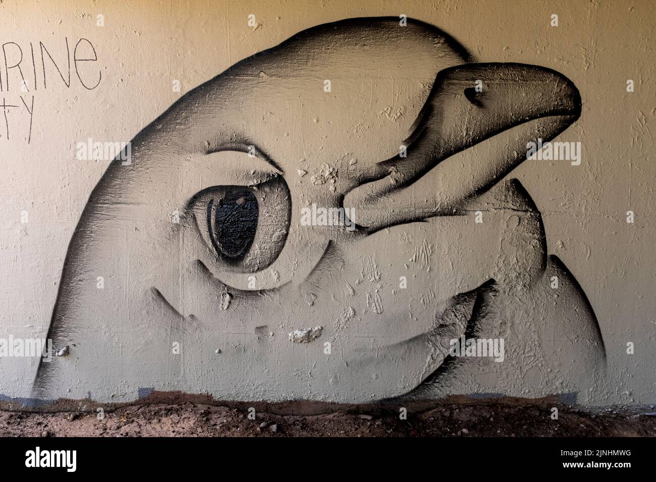 graffiti in Albuquerque, New Mexico Stock Photo
