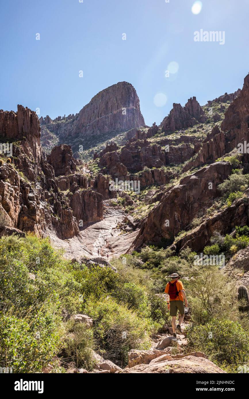 People hiking Siphon Draw in Lost Dutchman State Park, Arizona, USA. Stock Photo