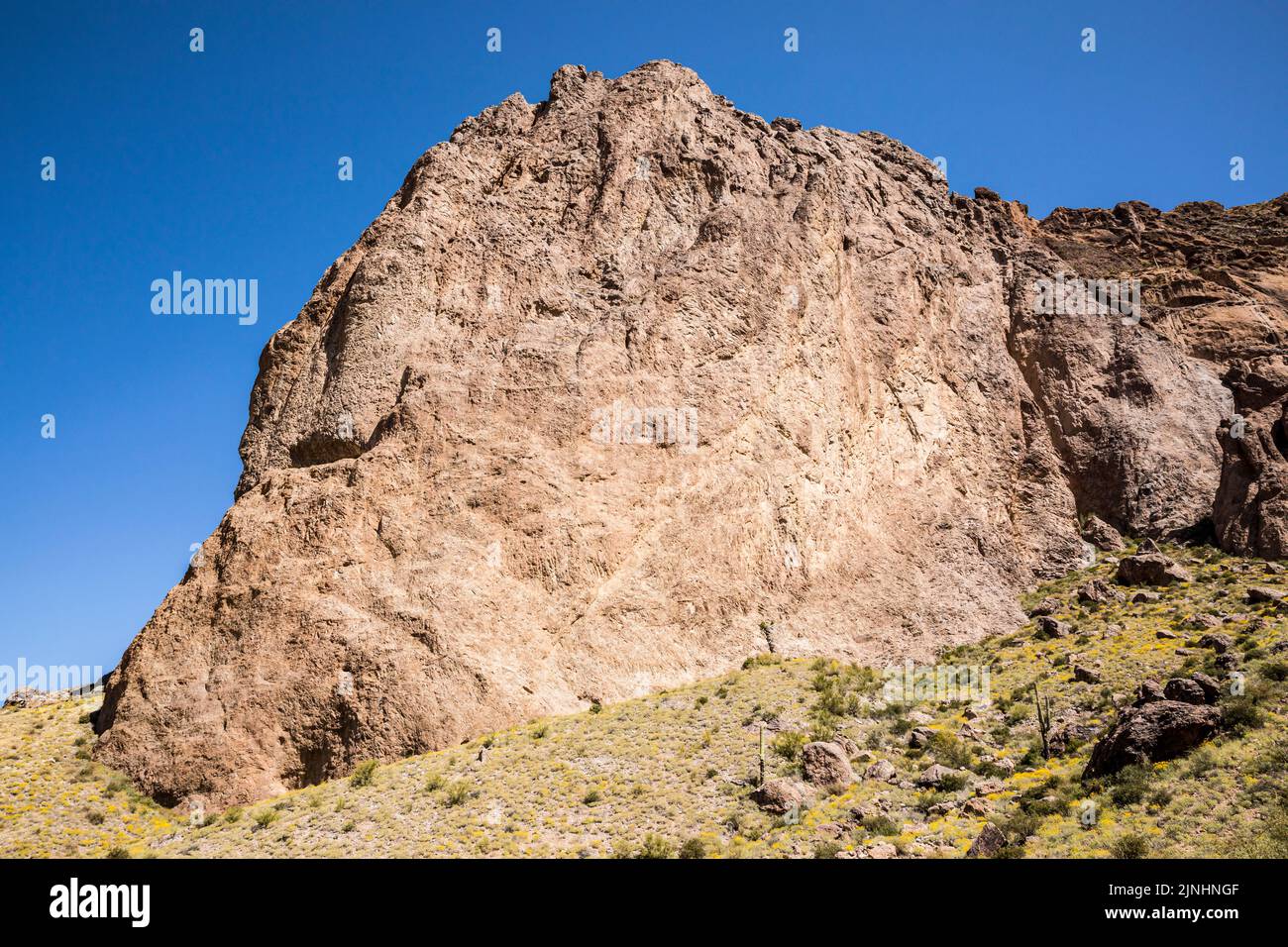 Steep rock formations and yellow flowers on the hills below in Lost Dutchman State Park, Arizona, USA. Stock Photo