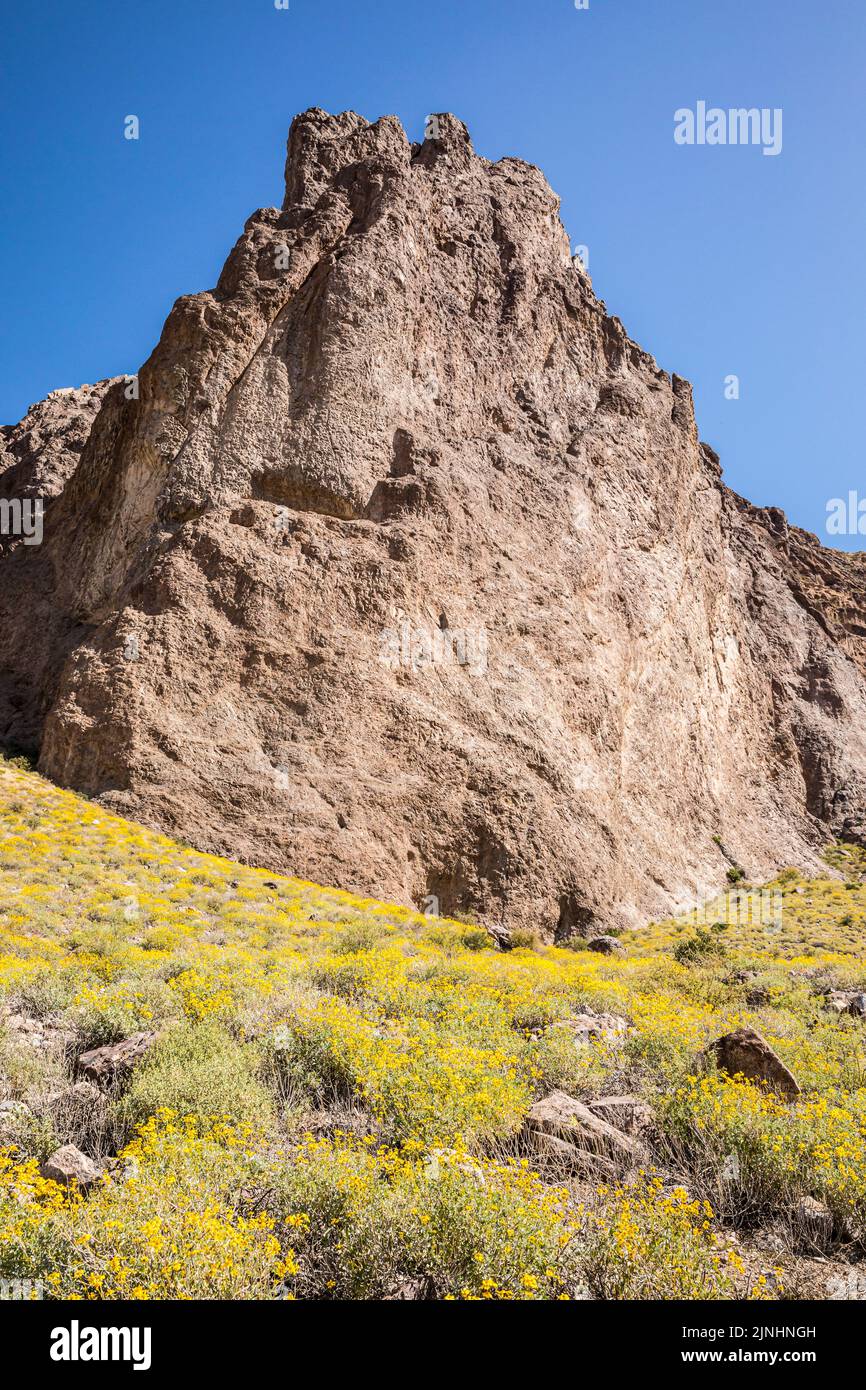 Steep rock formations and yellow flowers on the hills below in Lost Dutchman State Park, Arizona, USA. Stock Photo