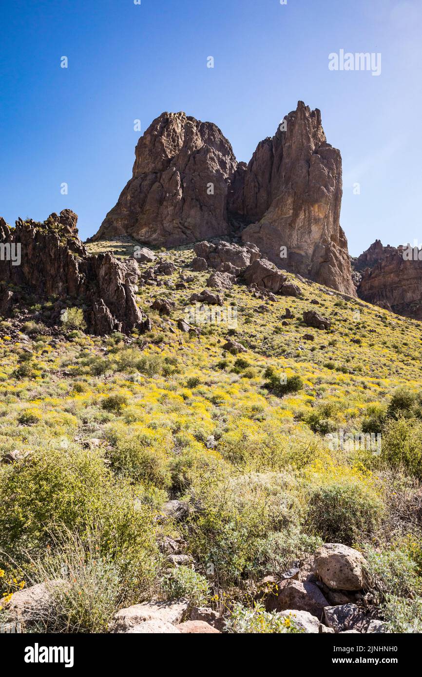Steep rock formations and yellow flowers on the hills below in Lost Dutchman State Park, Arizona, USA. Stock Photo
