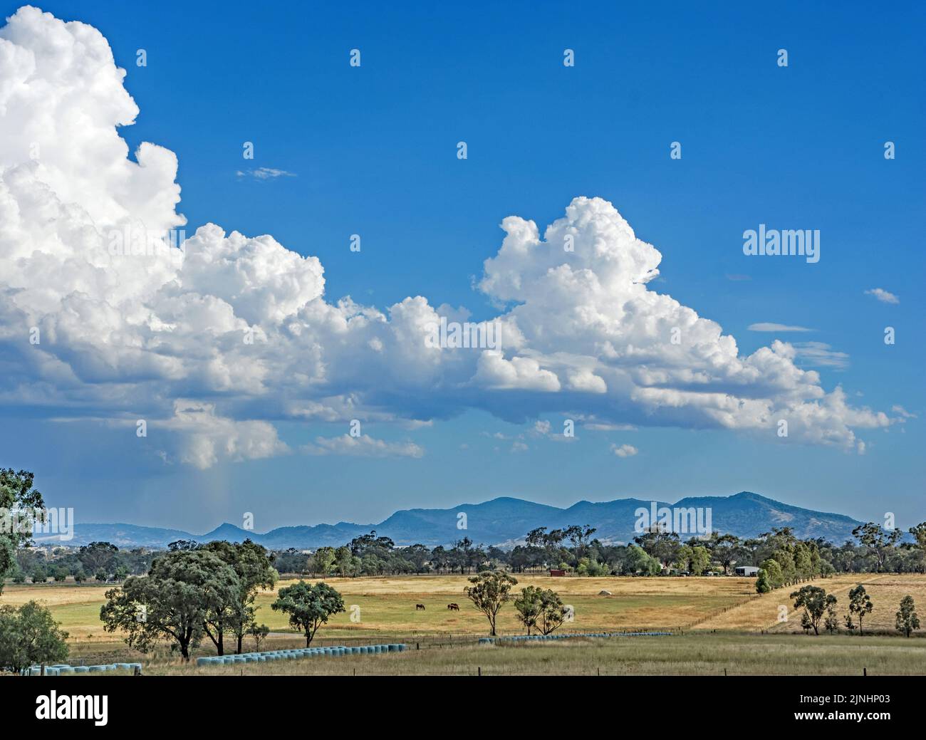 Cumulus clouds over farmland,Tamworth Australia. Stock Photo
