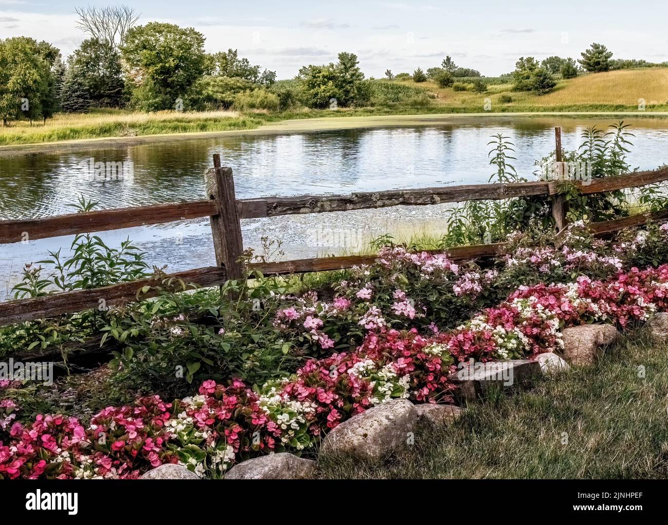 Pretty flowers lining a fence alongside a pond with trees in the background on a summer evening at Panola Valley Gardens in Lindstrom, Minnesota USA. Stock Photo