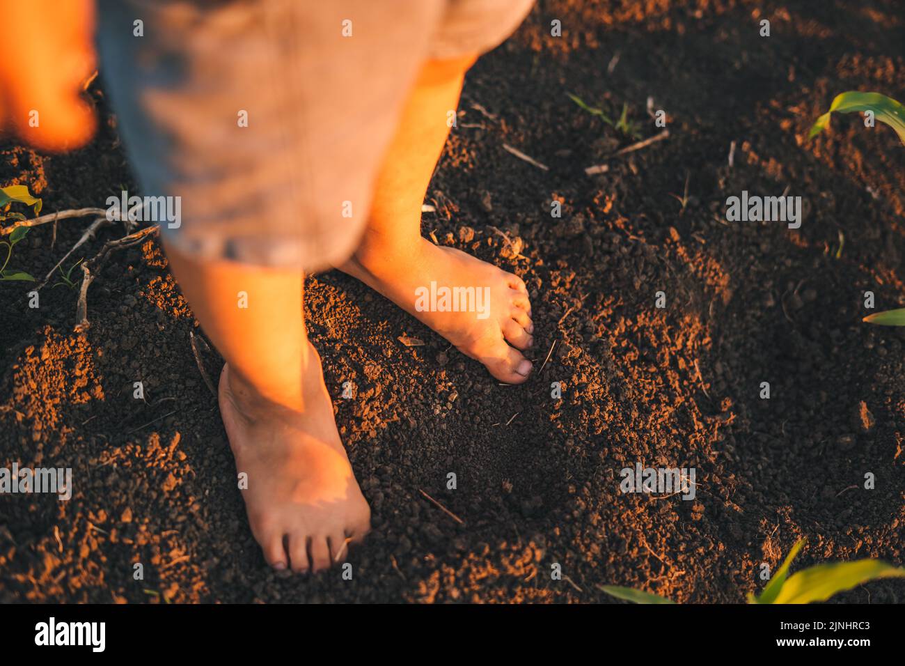 Top view of a boy's legs standing in the cool ground in the evening. Nature farming. Summer nature. Top view. Stock Photo