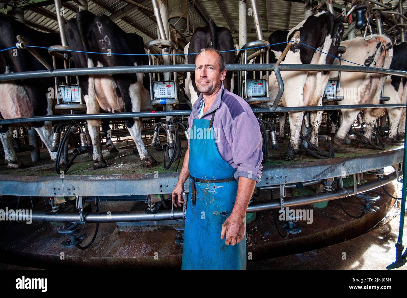 Dairy farmers, Metricup, Margaret River region of Western Australia Stock Photo