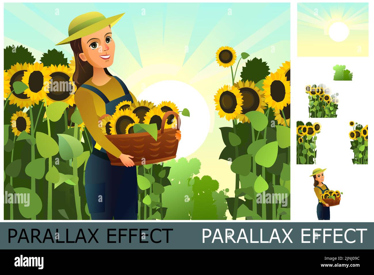Girl with basket of sunflower flowers. Farmer woman standing. Harvest agricultural plant. Food product of sunflower oil. Image from layers for overlay Stock Vector