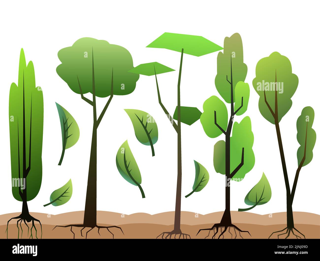 Seedlings of young trees with roots. Garden plants. Fruit plantings. Isolated on white background. Bottom horizontal composition border. Vector Stock Vector