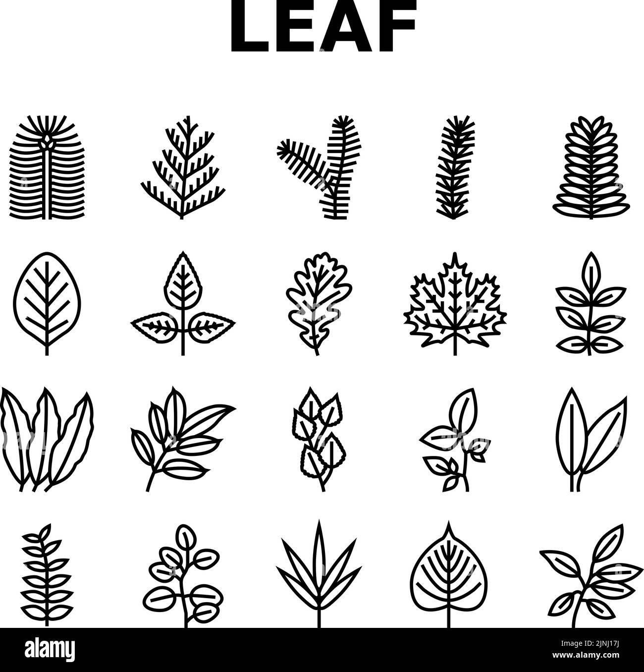 Leaf Of Tree, Bush Or Flower Icons Set Vector Stock Vector