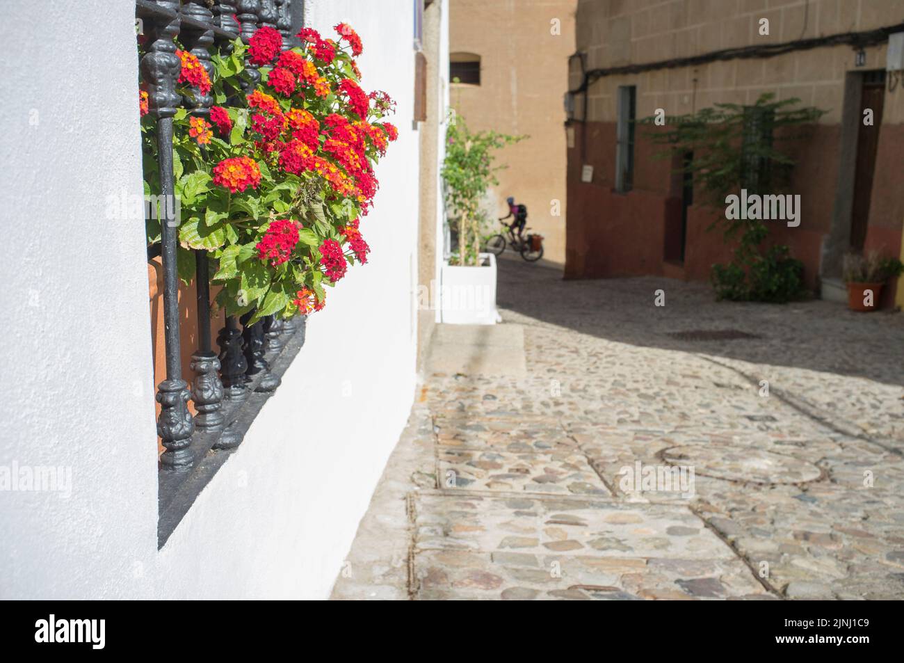 Nun Corner Square, Caceres, Extremadura, Spain. Pilgrim biker at bottom Stock Photo