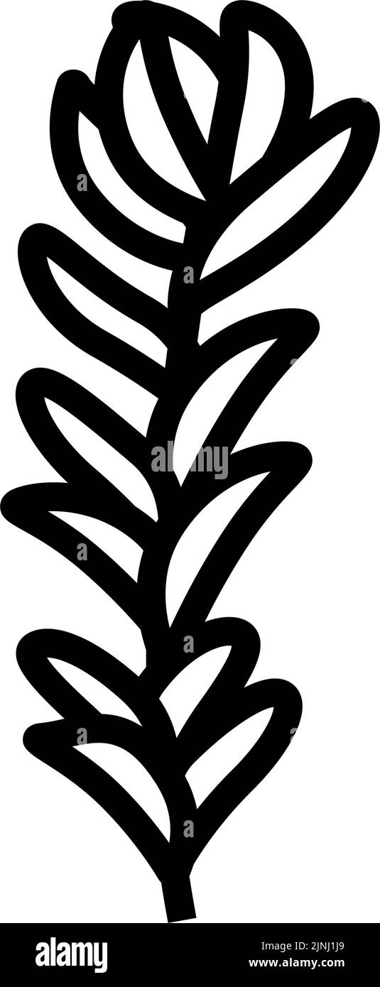 rotala rotundifolia seaweed line icon vector illustration Stock Vector