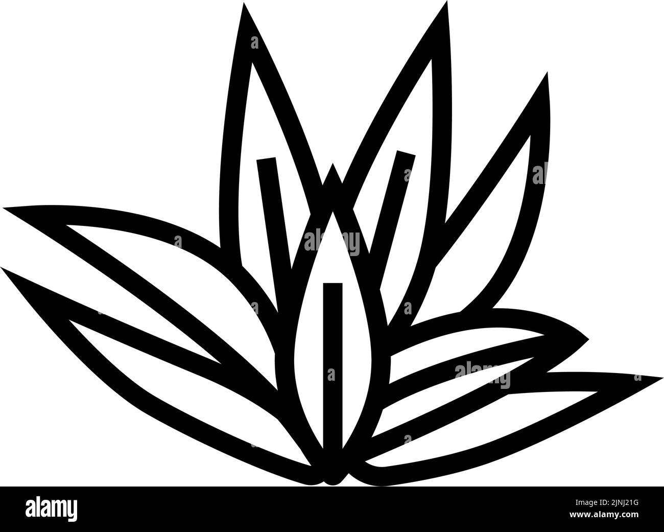 cryptocoryne wendttii line icon vector illustration Stock Vector