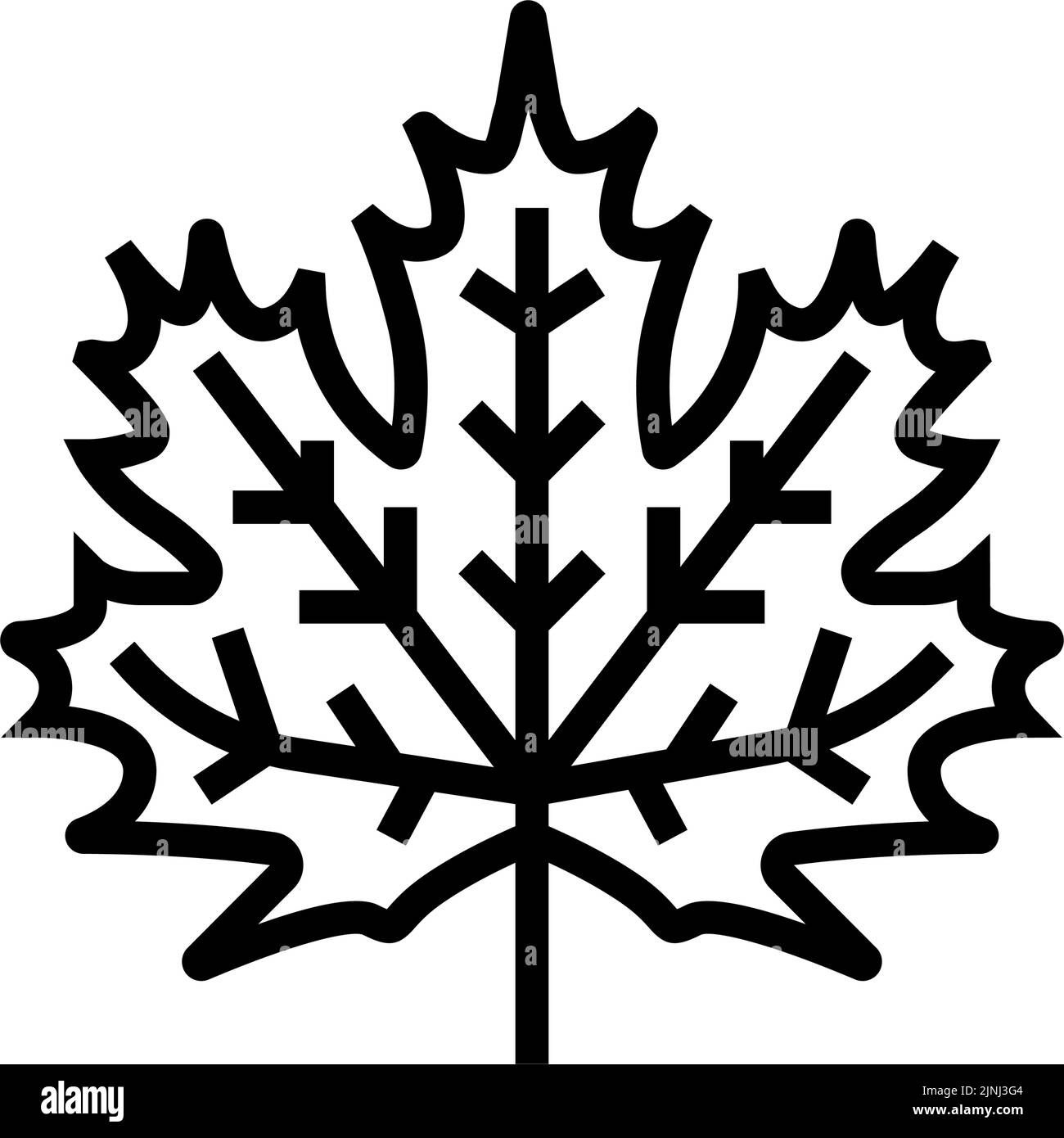 maple leaf line icon vector illustration Stock Vector Image & Art - Alamy