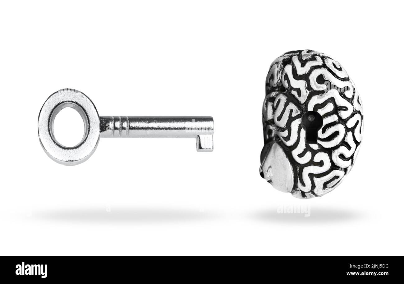 Silver-toned master key floating over an anatomical human brain copy having  a keyhole isolated on green background. Key to success concept Stock Photo  - Alamy