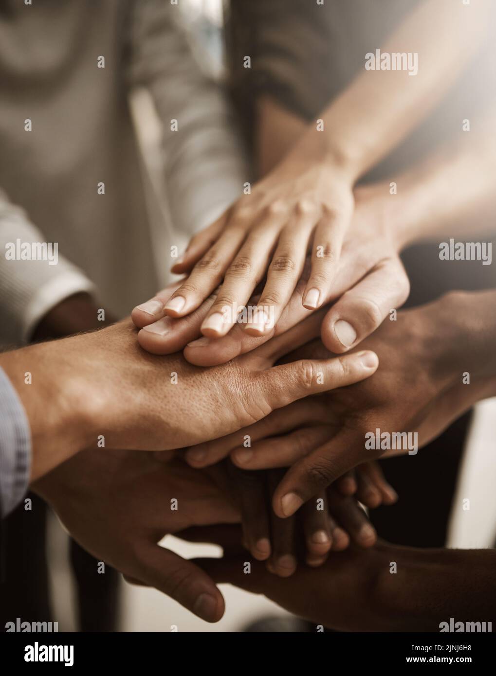 Hands, teamwork and support with a group or team of people showing togetherness, unity and solidarity in a gesture of working together, trust and Stock Photo