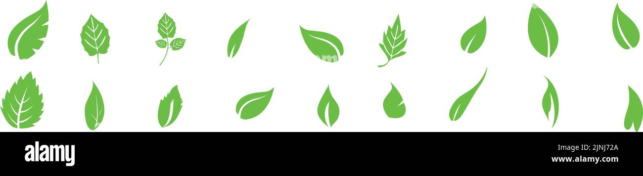 A set of differently shaped green leaf icons isolated on a white ...