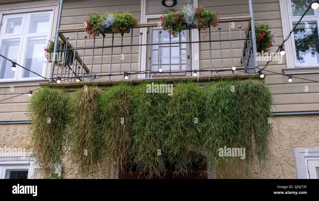 green retro balcony. hanging vines with various flowers in flower boxes Stock Photo